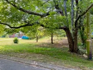 113 Bee Branch Boulevard, Signal Mountain, TN 37377 - #2