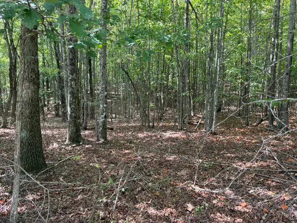 0 2 Lake Trail #324, Dunlap, TN 37327