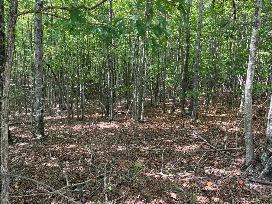 0 2 Lake Trail #324, Dunlap, TN 37327 - #3