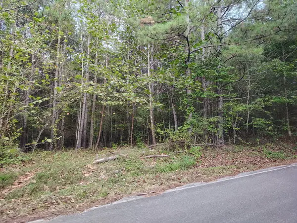 0 Alloway Road, Grandview, TN 37337
