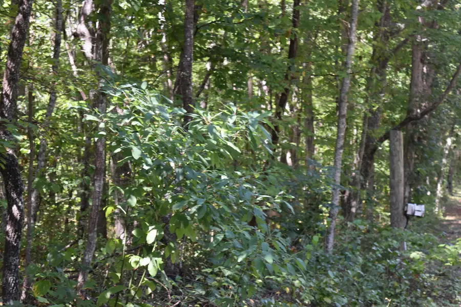 0 Lower Firetower Road, Sequatchie, TN 37374 - #2