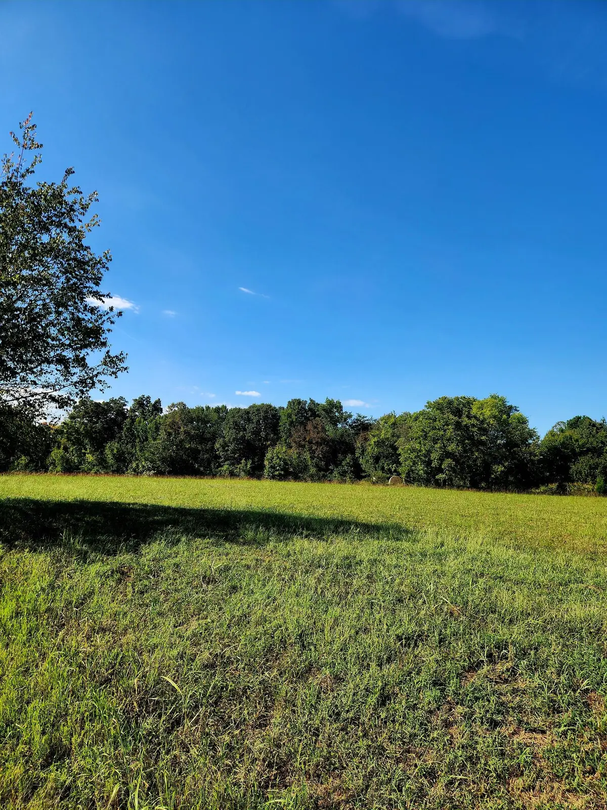 0 Butterfly Cove Trail #78, Decatur, TN 37322 - #1