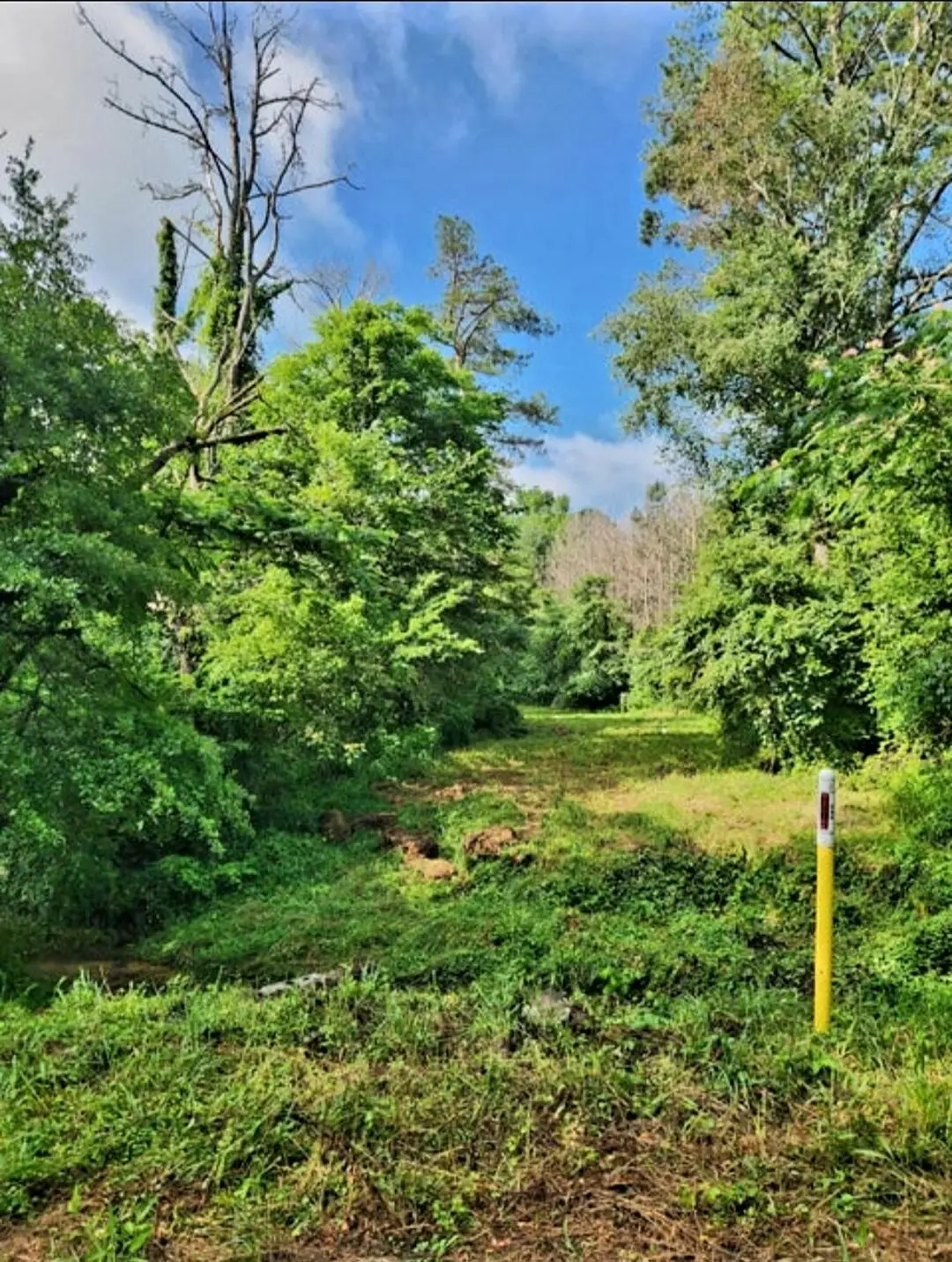 0 N Highway 341 N #246, Chickamauga, GA 30707 - #1