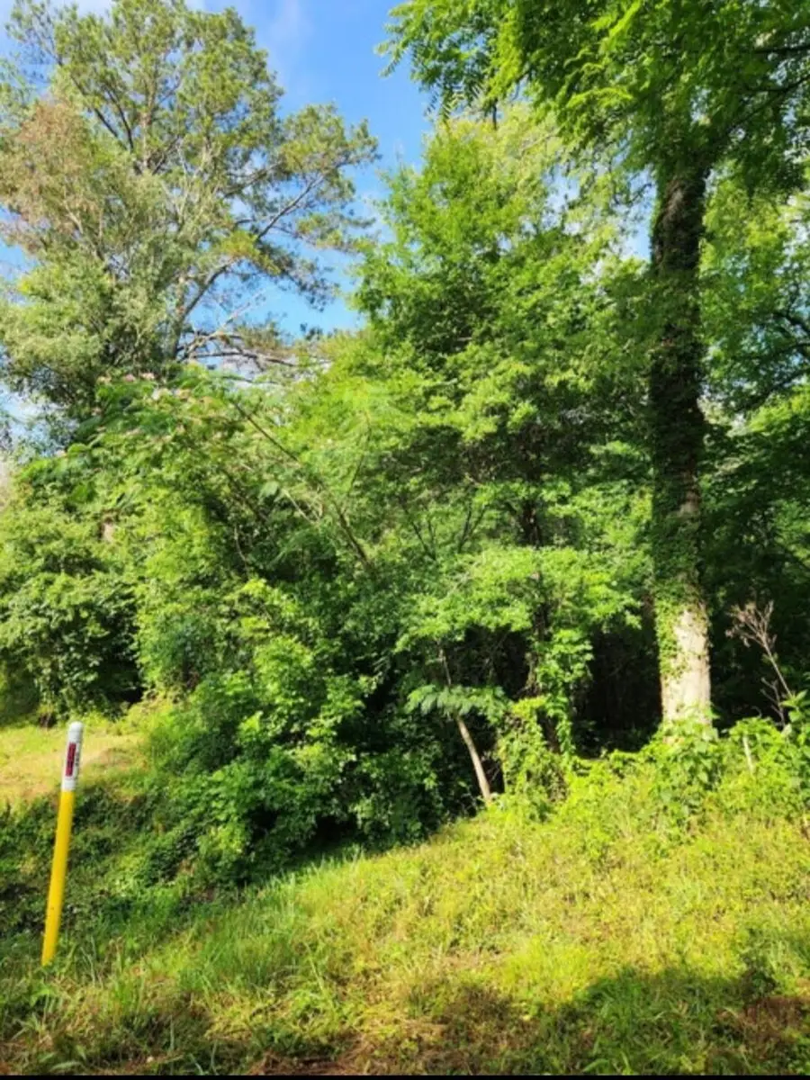 0 N Highway 341 N #246, Chickamauga, GA 30707 - #3