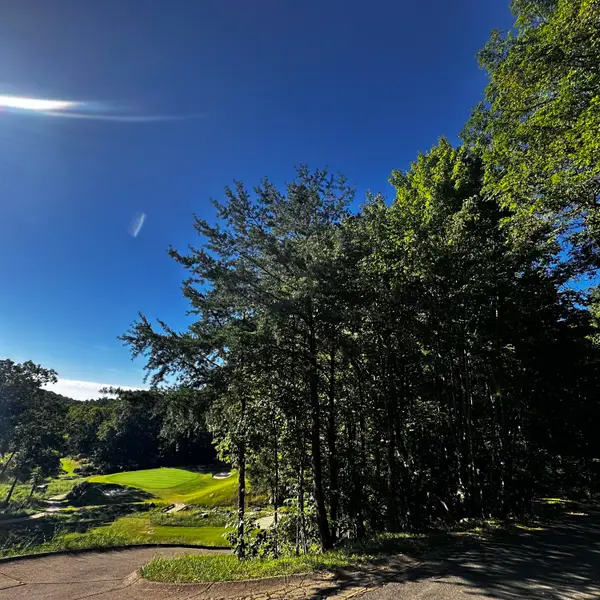 0 Eagle Creek Trail #Lot 13, Rising Fawn, GA 30738