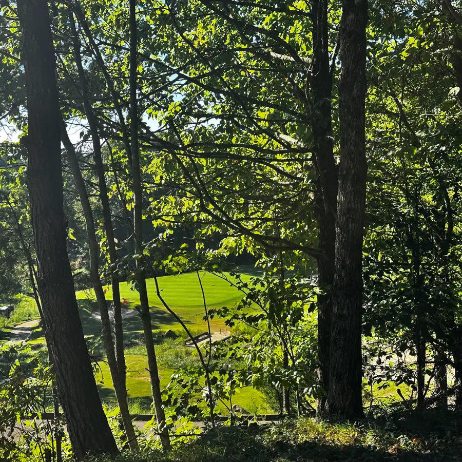 0 Eagle Creek Trail #Lot 13, Rising Fawn, GA 30738 - #2