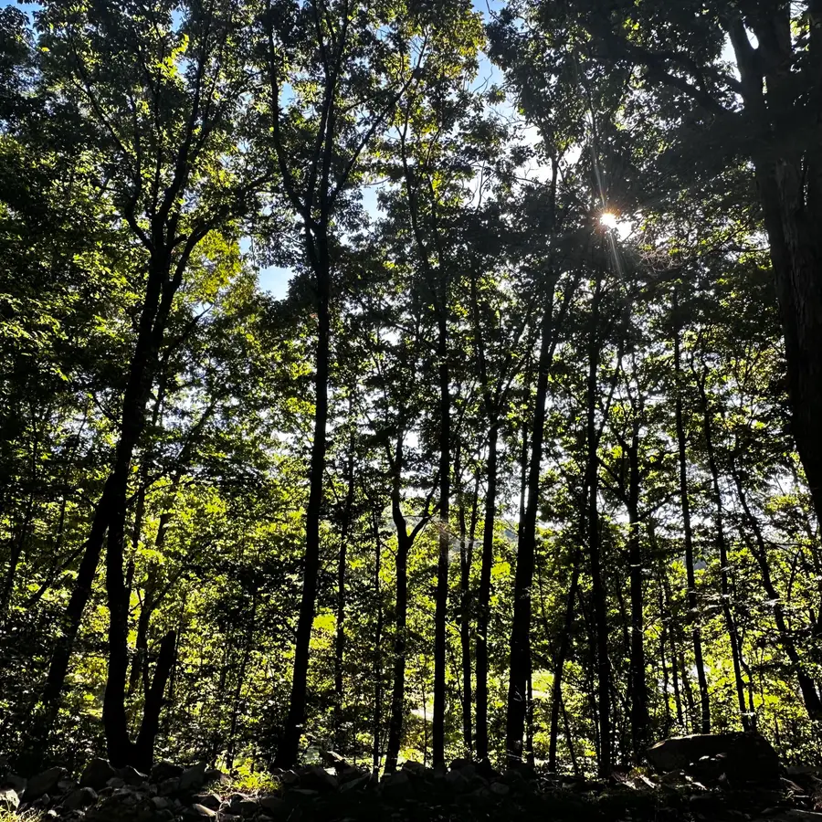 0 Eagle Creek Trail #Lot 13, Rising Fawn, GA 30738 - #3