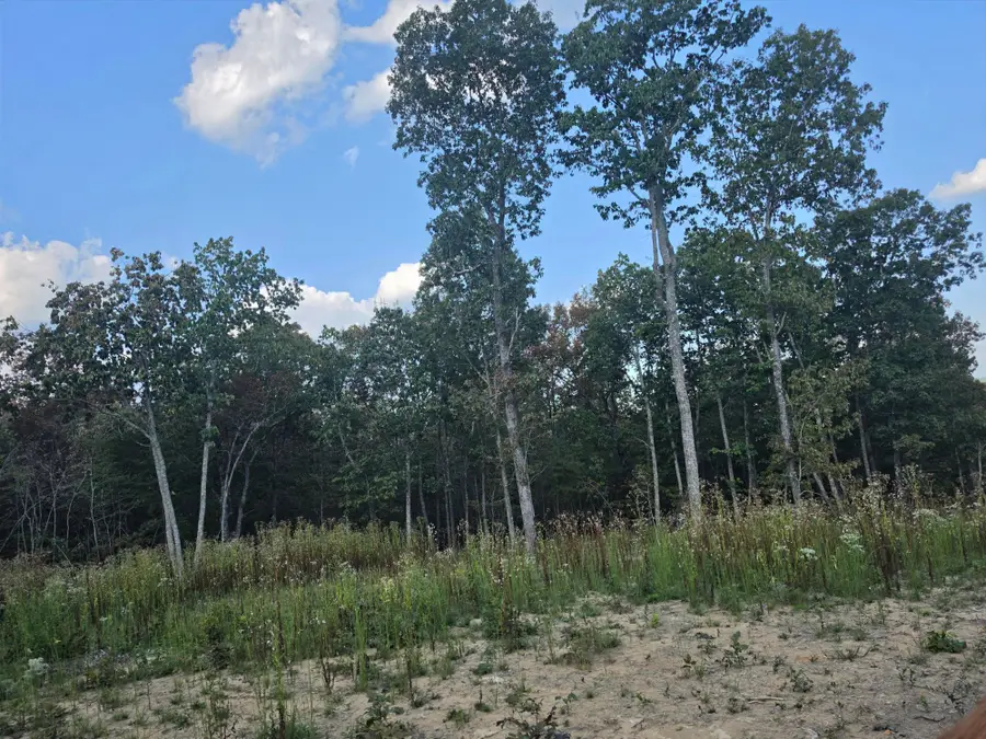 1618 Sawmill Creek Rd. Road, Dunlap, TN 37327 - #3