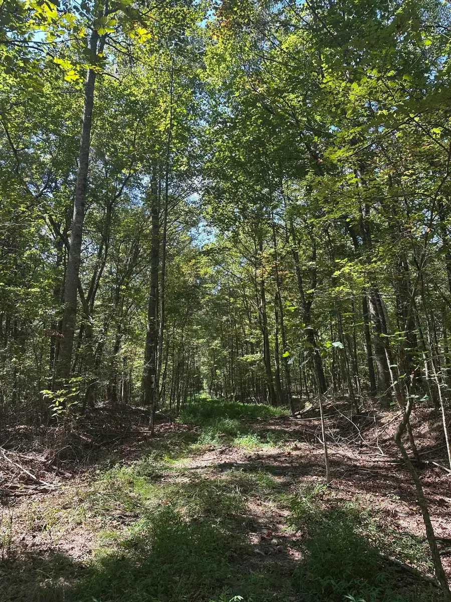 Lot 13 Hickory Hollow Sub Road #Lot 13, Tracy City, TN 37387 - #2