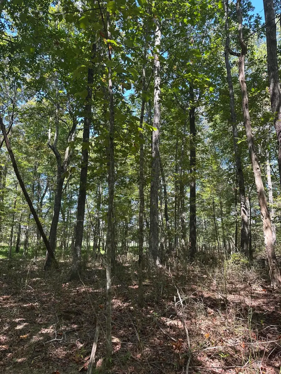 Lot 13 Hickory Hollow Sub Road #Lot 13, Tracy City, TN 37387 - #3