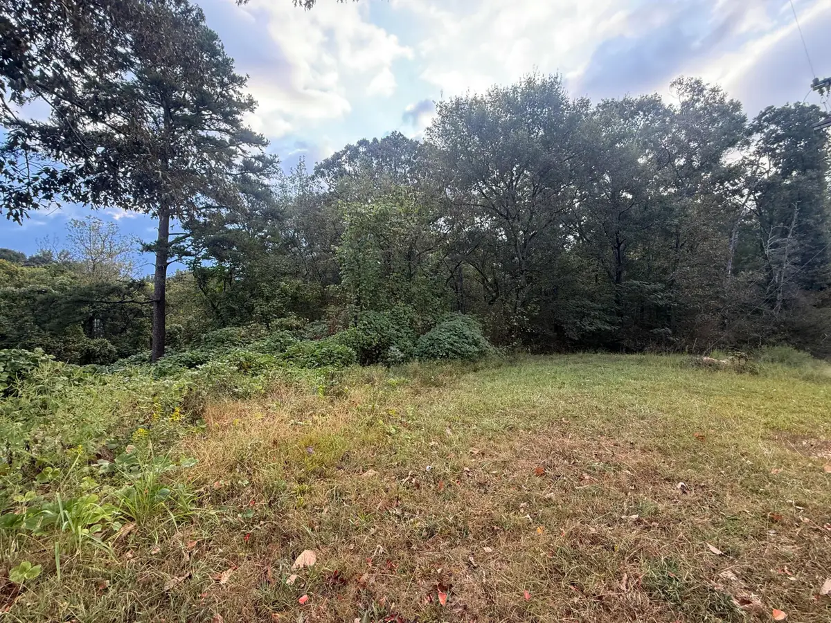 0 11th Street, Bridgeport, AL 35740 - #1
