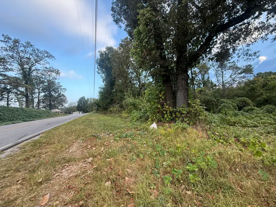 0 11th Street, Bridgeport, AL 35740 - #3