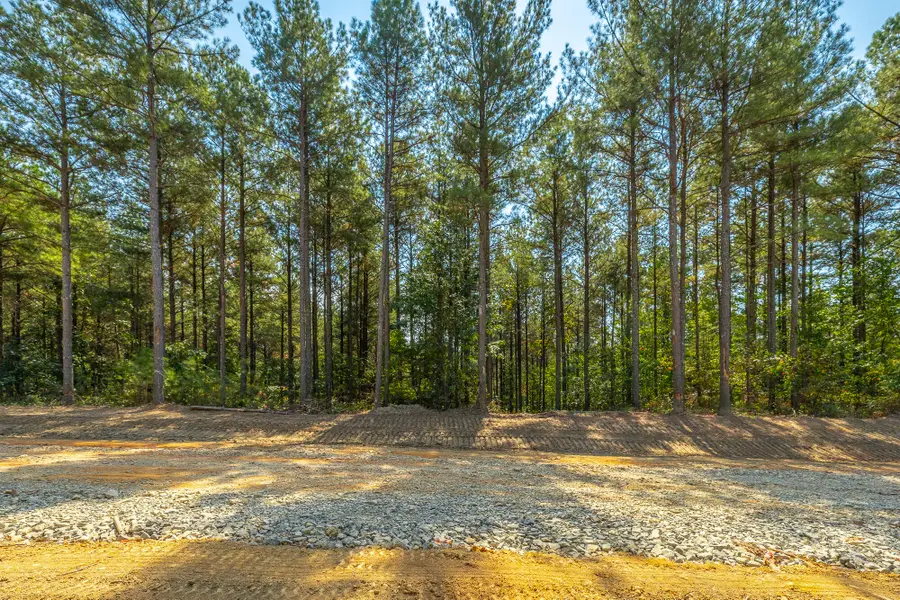 0 Constellation Court #Lot 2039, Guild, TN 37340 - #2