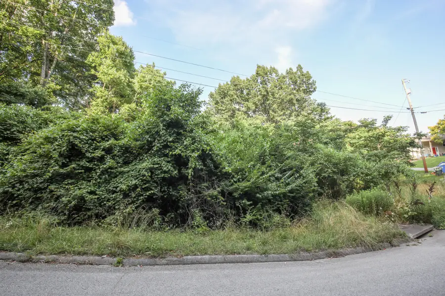 0 Ethyeylin Lane, Hixson, TN 37343 - #3