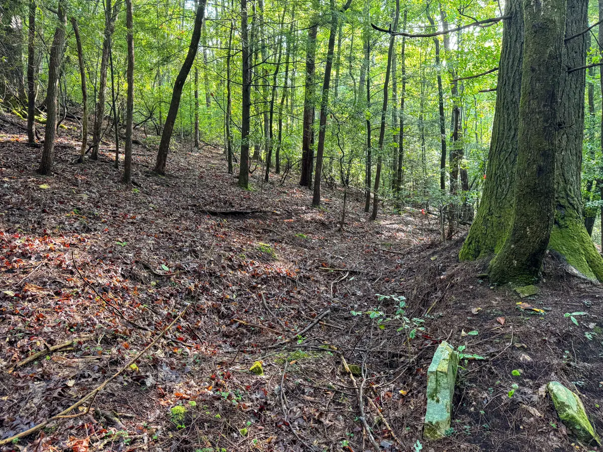 000 Tall Tree Trail #412, Dunlap, TN 37327 - #1