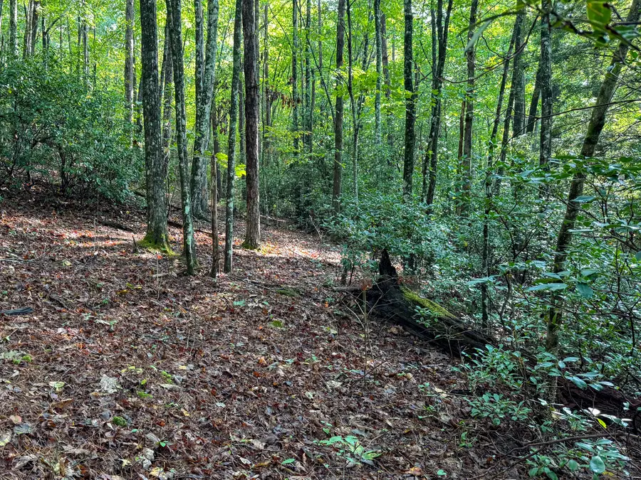 000 Tall Tree Trail #412, Dunlap, TN 37327 - #2