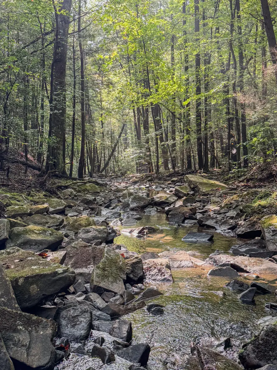 000 Tall Tree Trail #412, Dunlap, TN 37327 - #3