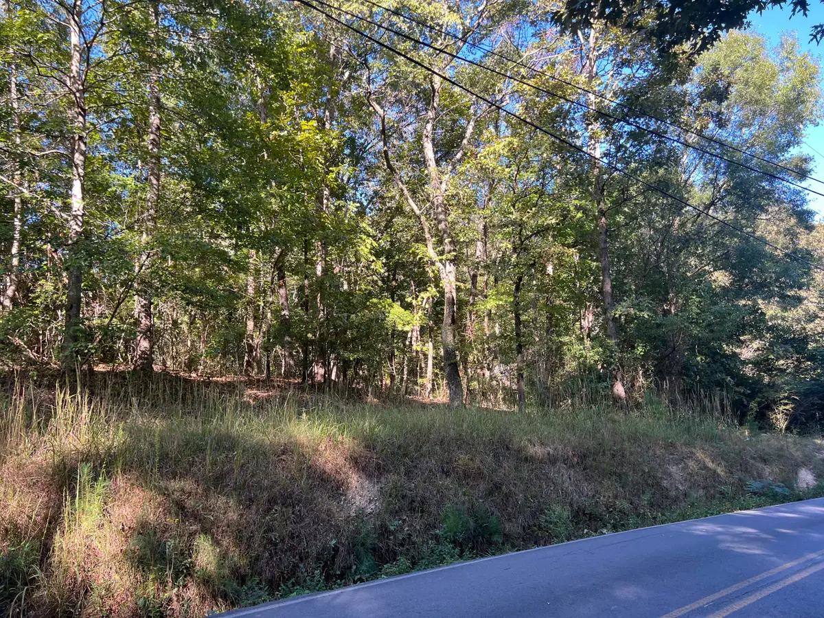 00 Rocky Hollow Road, Summerville, GA 30747 - #1