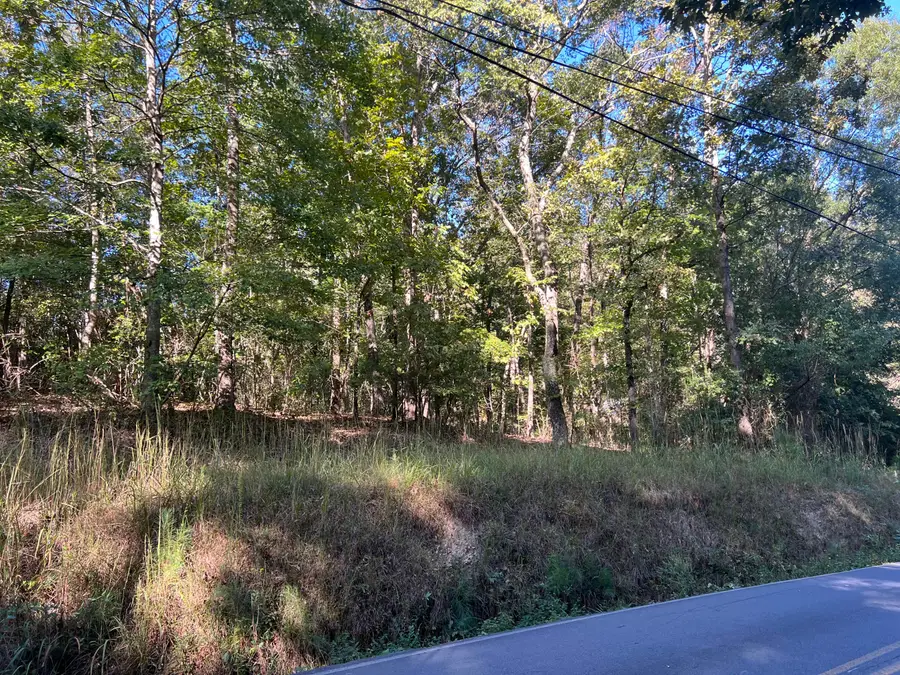 00 Rocky Hollow Road, Summerville, GA 30747 - #2