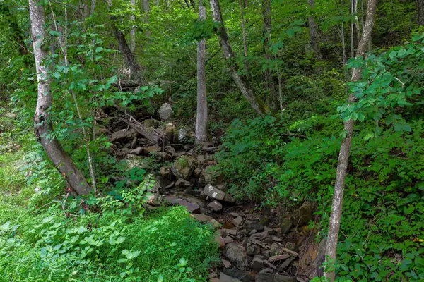 0 Lee Station Mountain Road #Tract 10, Pikeville, TN 37367