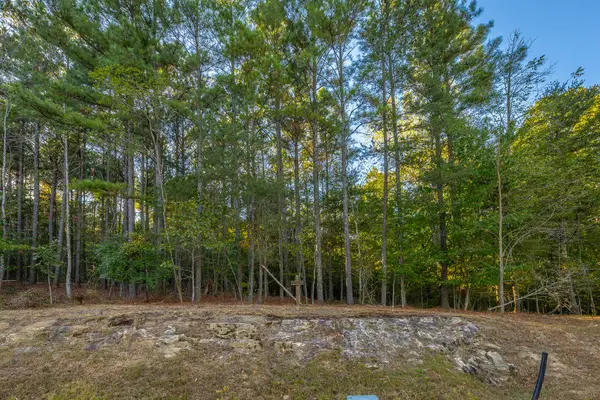 0 River Bluffs Drive #Rb73, Jasper, TN 37347