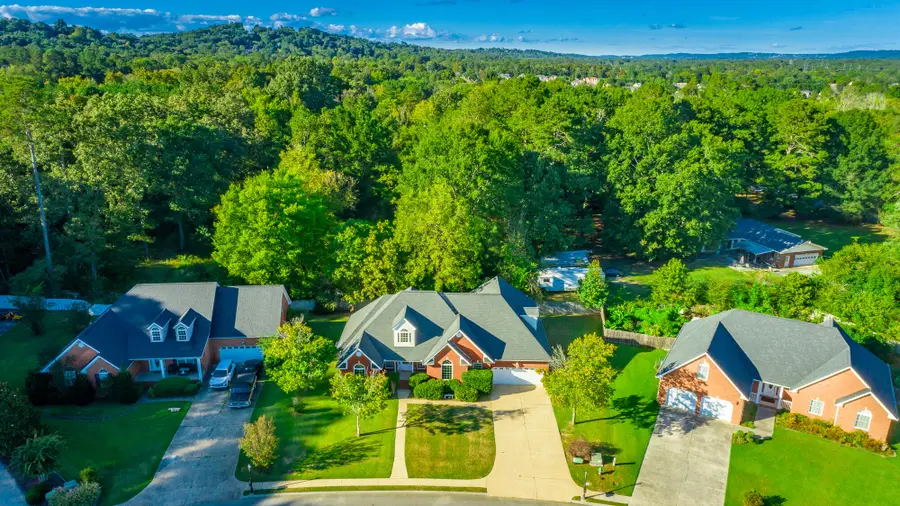 375 Champagne Circle, Ringgold, GA 30736 - #2