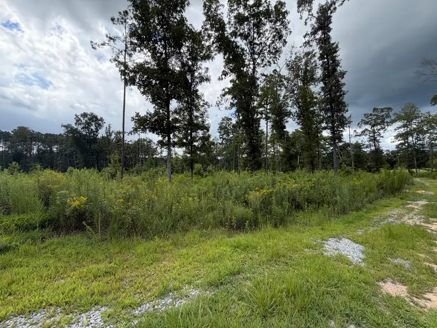 00 Dunwoody Road, Lafayette, GA 30728 - #2
