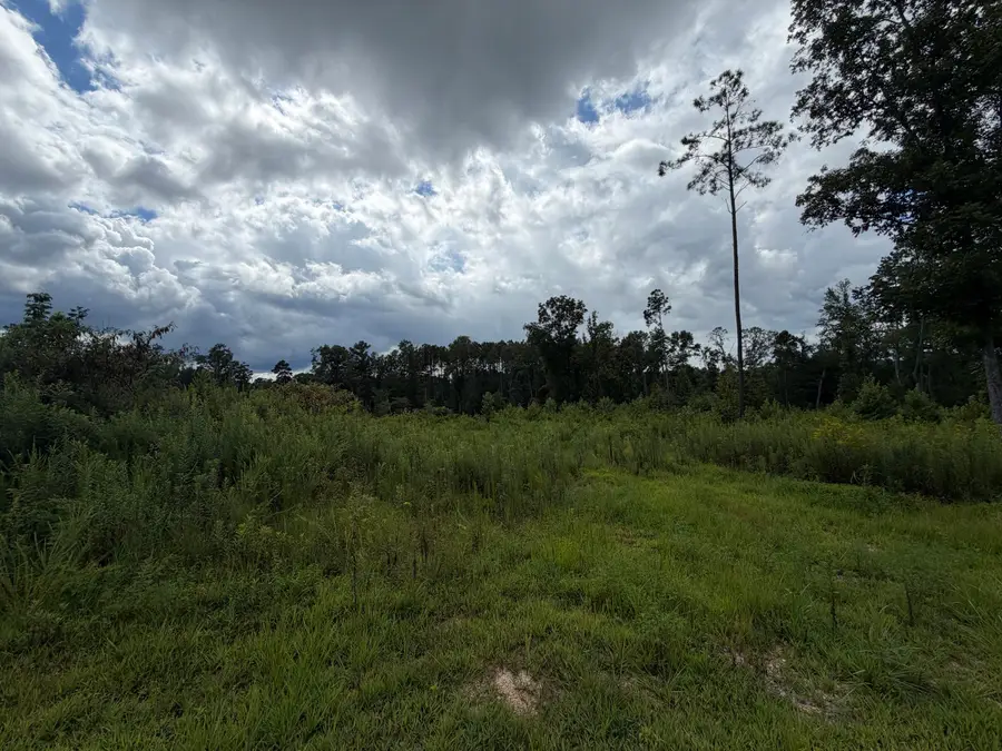 00 Dunwoody Road, Lafayette, GA 30728 - #3