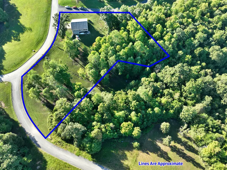 385 Hidden Forest Trail, Spring City, TN 37381 - #3