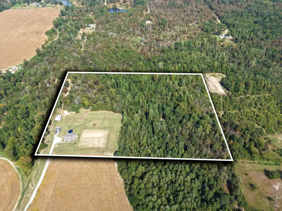 7447 County Road 155, Higdon, AL 35979 - #2