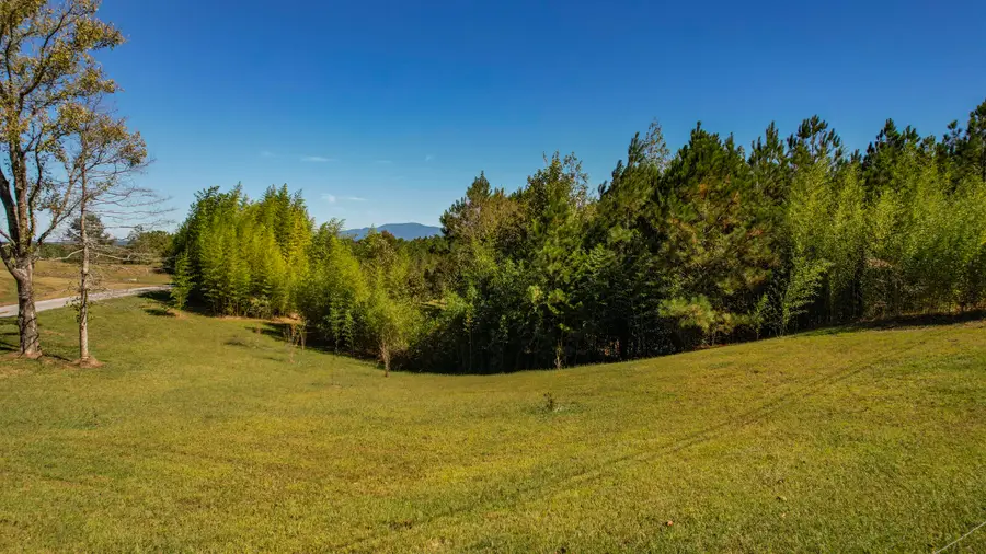 Lot 1 Spring Place Road Se, Cleveland, TN 37323 - #3