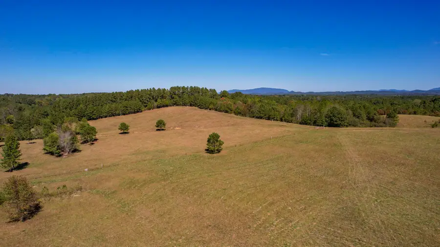 Lot 4 Spring Place Road Se, Cleveland, TN 37323 - #3