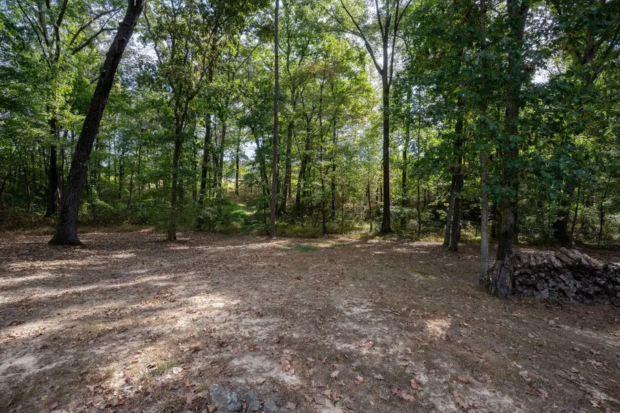 2323 County Road 131, Bryant, AL 35958 - #3