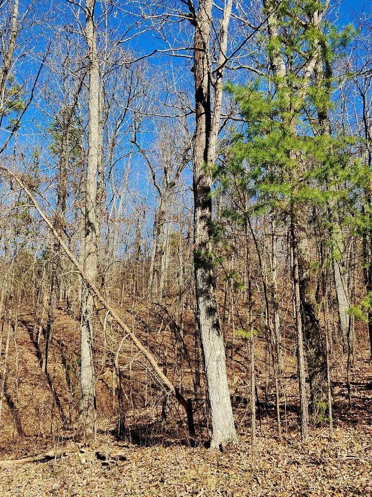 0 Northwoods Lane #15, Trenton, GA 30752 - #1