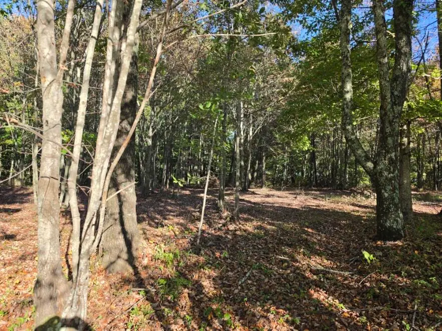 0 River Bluffs Drive #Rb-39, Jasper, TN 37347 - #3
