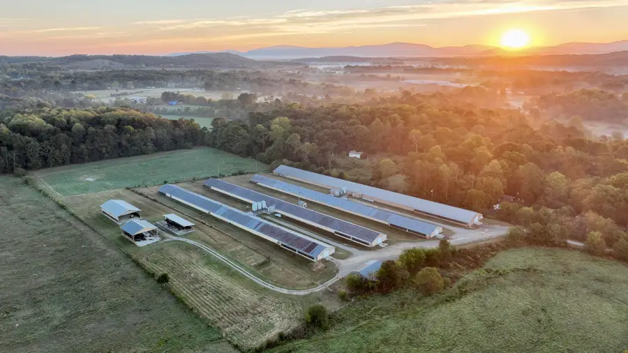 426 Ball Road Se, Cleveland, TN 37323 - #2