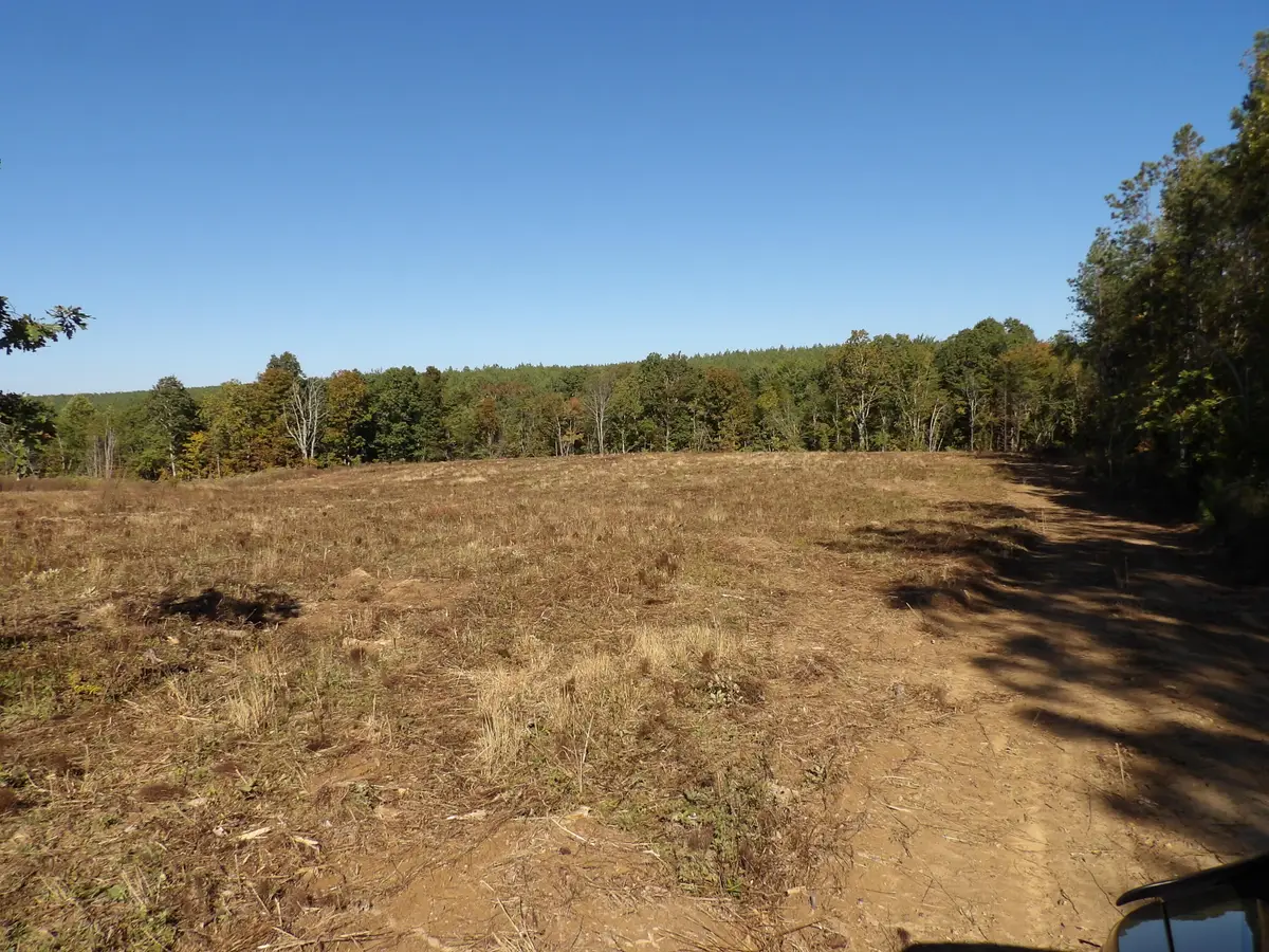 18 Summer City Road, Evensville, TN 37332 - #1