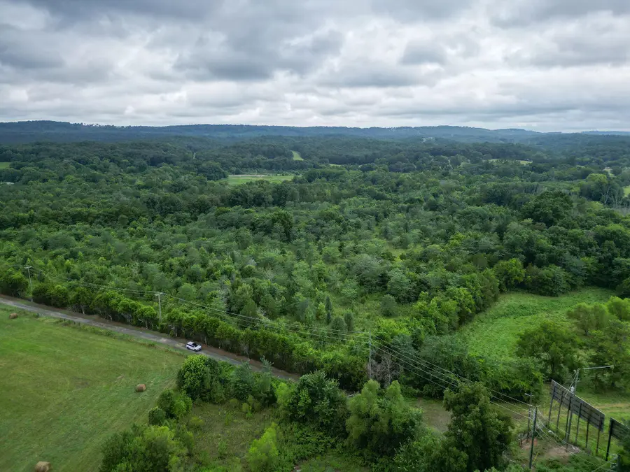 65 Acres Harris Drive, Fort Payne, AL 35968 - #3