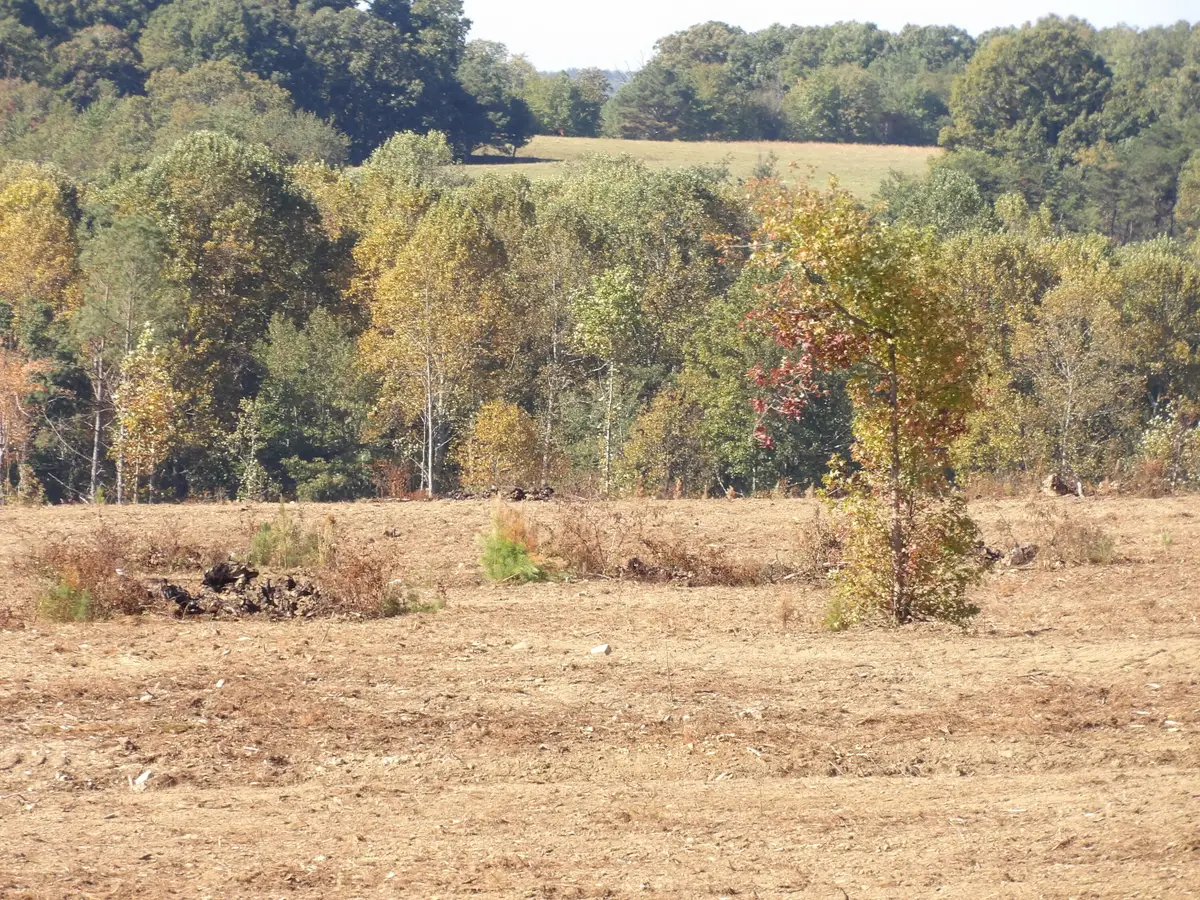 Lot 25a Summer City Road, Evensville, TN 37332 - #1