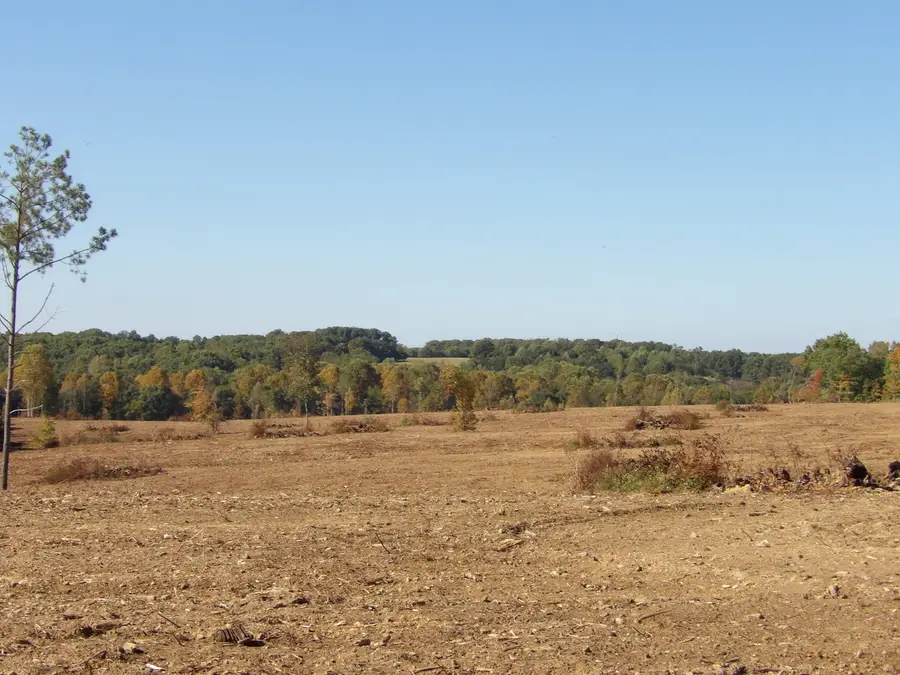 Lot 25a Summer City Road, Evensville, TN 37332 - #2