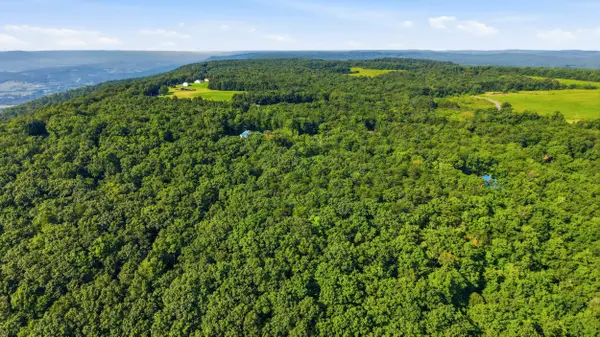 0 Big Bluff View #Lot 10, Pikeville, TN 37367