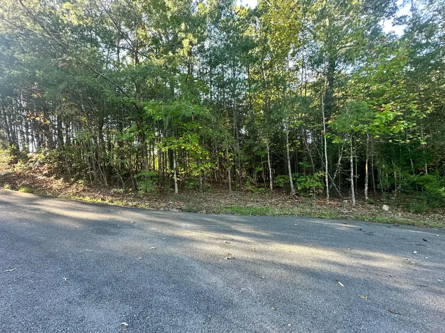391 Windy Ridge Drive, Dayton, TN 37321 - #2