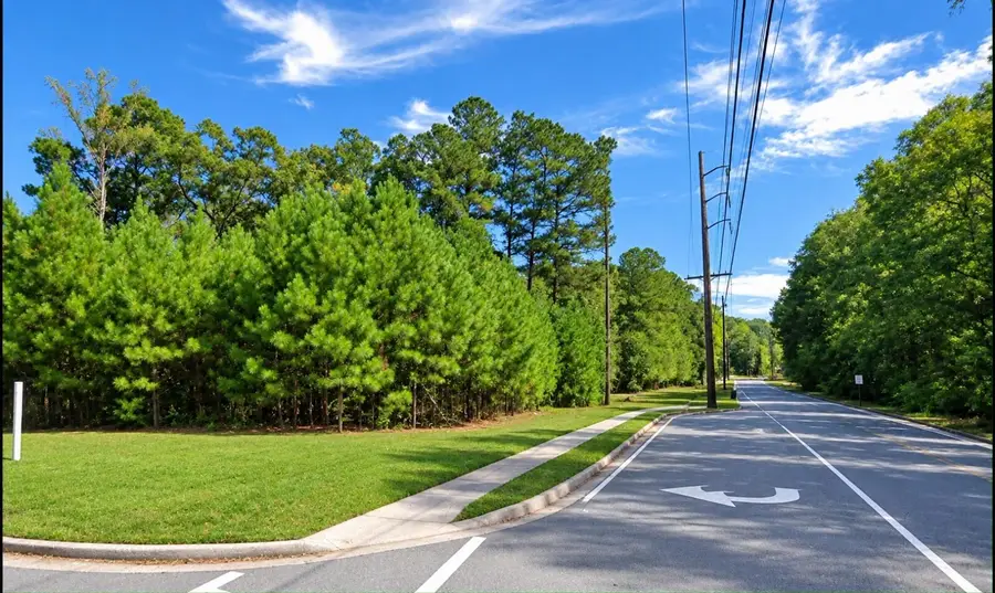 3155 Avondale Parkway #Lot 1, Powder Springs, GA 30127 - #2