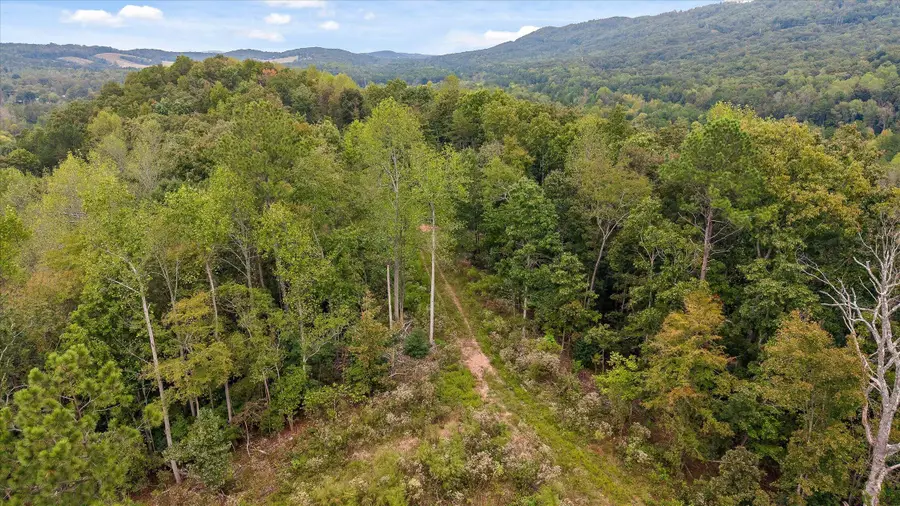 Tract 11 Beavers Road, Rocky Face, GA 30740 - #3