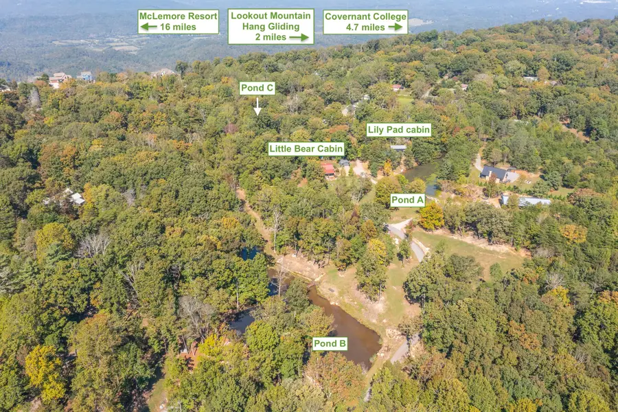 263 Craig Road, Lookout Mountain, GA 30750 - #3