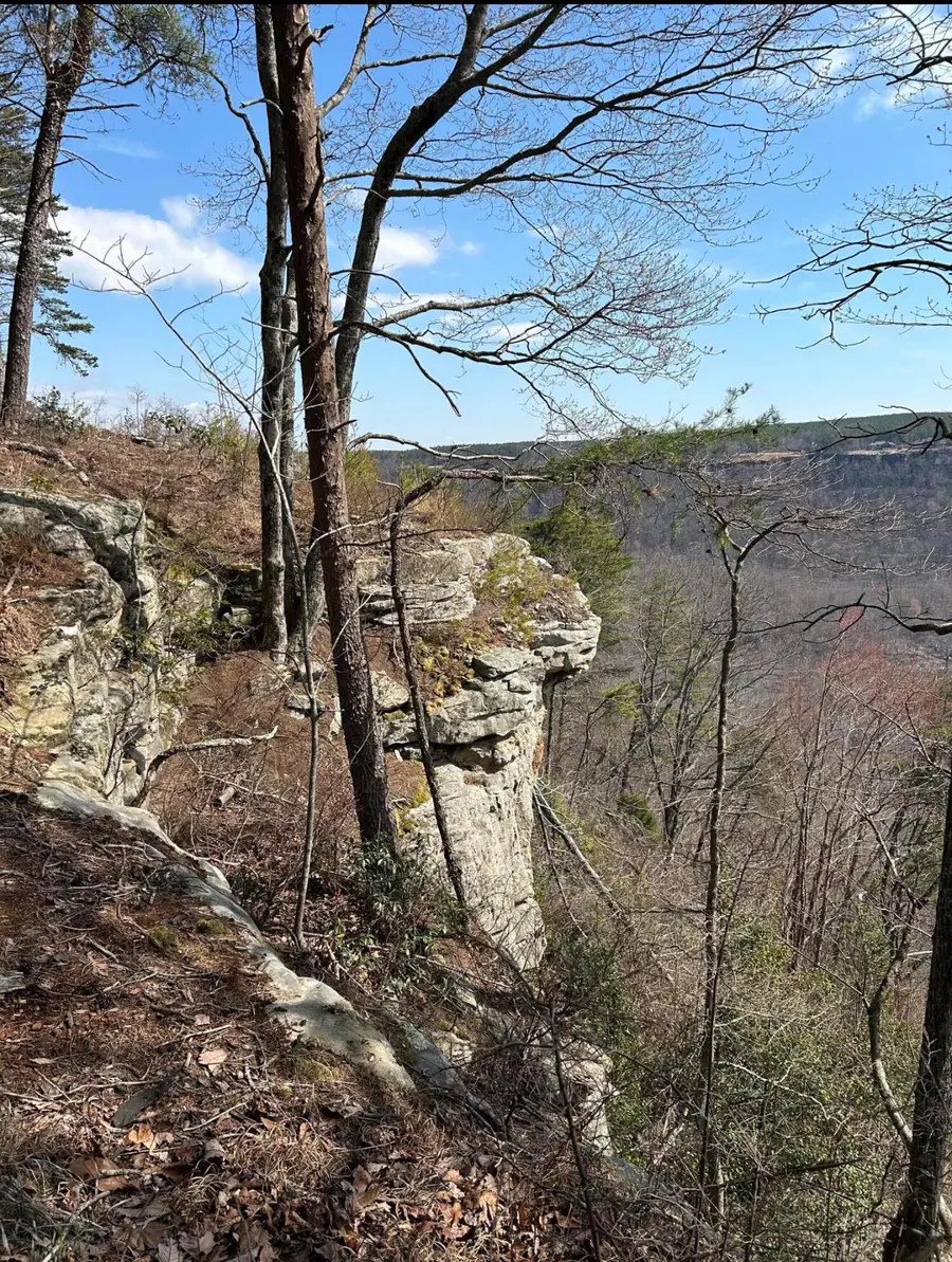 3965 Crockett Point #Jf158, Jasper, TN 37347 - #3