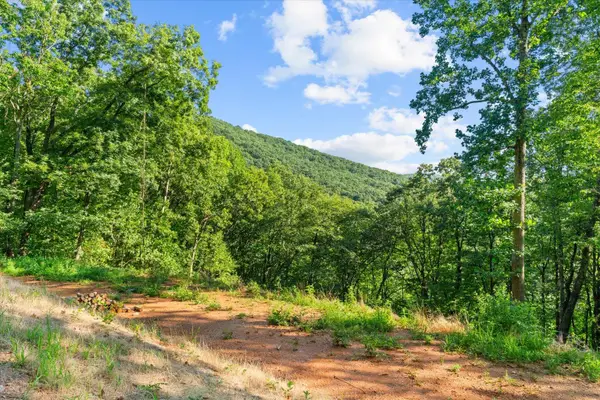 Lot 4 Firetower Road, Jasper, GA 30143