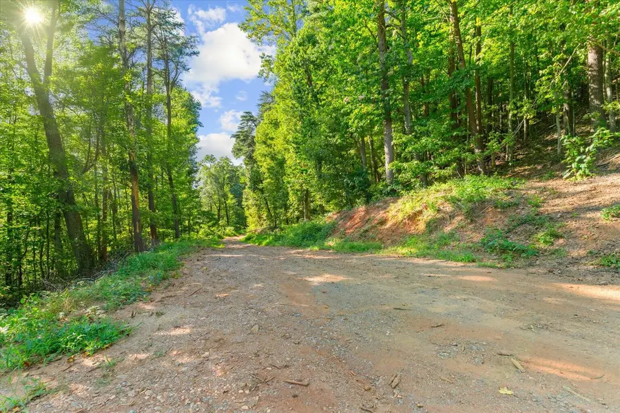 Lot 4 Firetower Road, Jasper, GA 30143 - #3