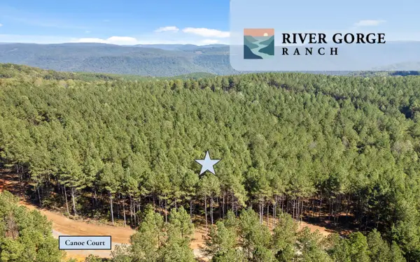 525 Canoe Court, Guild, TN 37340