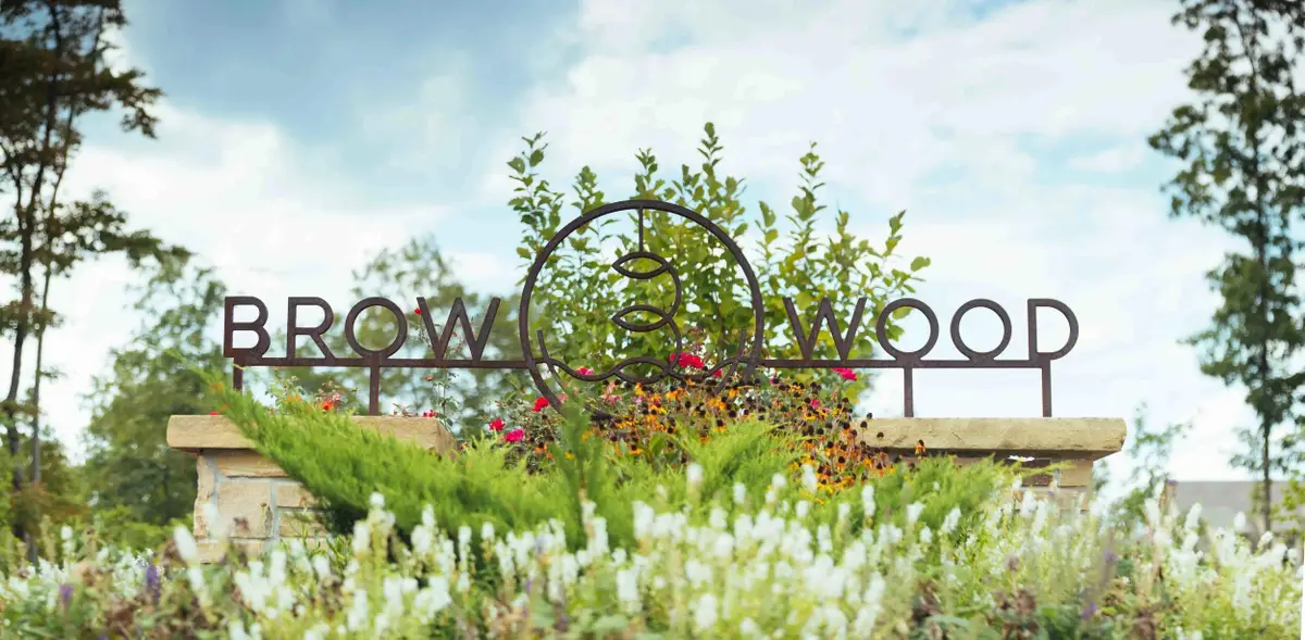 62 Brow Wood Lane, Lookout Mountain, GA 30750 - #1